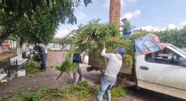 Ayuntamiento de Zamora da mantenimiento a parques y jardines