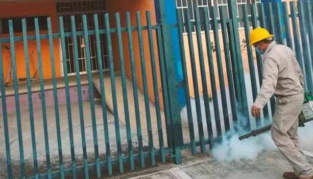 Fumigan calles de Zamora para combatir al mosquito