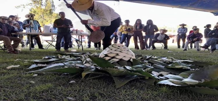 Michoacán realizará por primera vez un concurso en el encuentro nacional del Mezcal