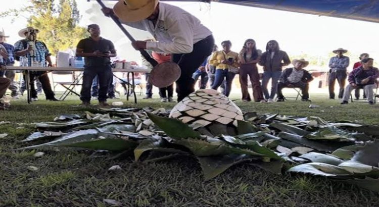 Michoacán realizará por primera vez un concurso en el encuentro nacional del Mezcal