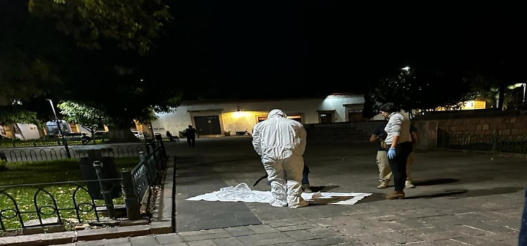 Indaga FGE presunto envenenamiento de gatos en universidad de Michoacán