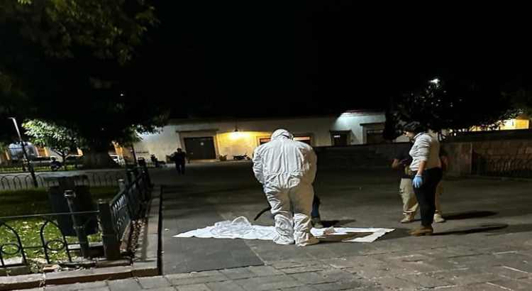 Indaga FGE presunto envenenamiento de gatos en universidad de Michoacán