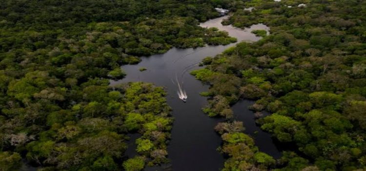 Michoacán destina inversión millonaria para el cuidado del medioambiente