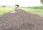 Mejoran caminos sacacosechas en Zamora