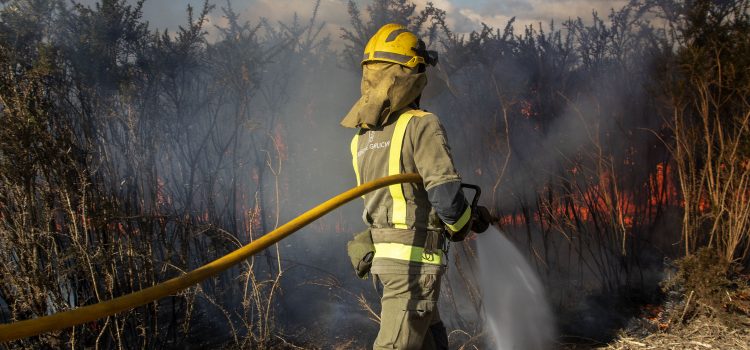 Piden evitar quemas agrícolas y denunciarlas, en Zamora