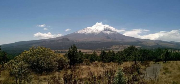 Inicia gobierno de Michoacán vigilancia satelital para proteger bosques