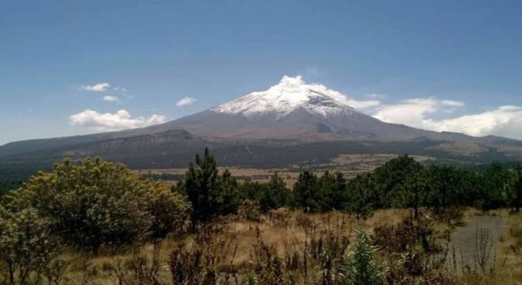 Inicia gobierno de Michoacán vigilancia satelital para proteger bosques