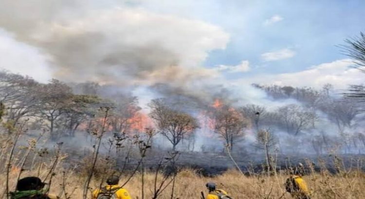 Este año van 20 incendios forestales en Michoacán