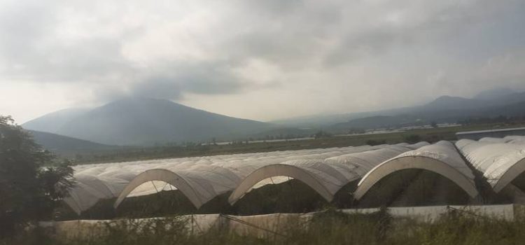 Reducción de agua para el campo enciende las alertas en Zamora