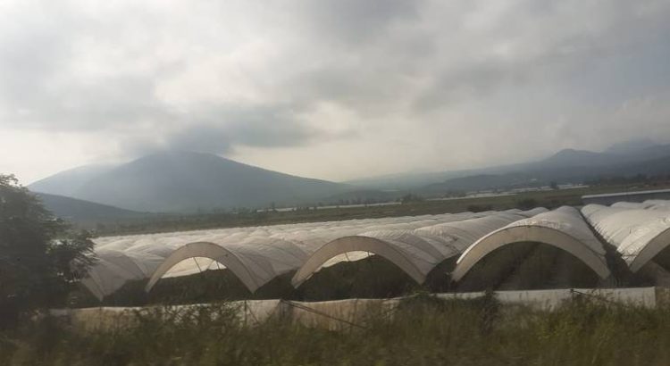 Reducción de agua para el campo enciende las alertas en Zamora