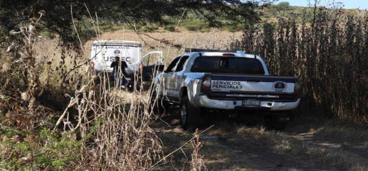 Localizan 11 cadáveres en una fosa clandestina en Tarímbaro, Michoacán