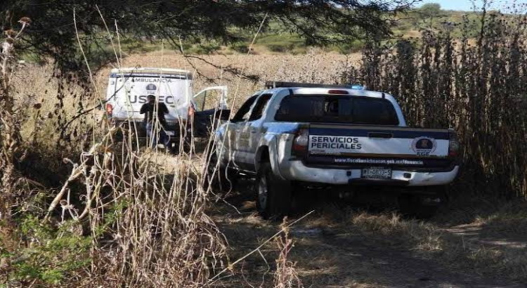 Localizan 11 cadáveres en una fosa clandestina en Tarímbaro, Michoacán