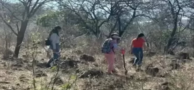 Madres buscadoras han recuperado 11 cuerpos de fosas clandestinas en Michoacán