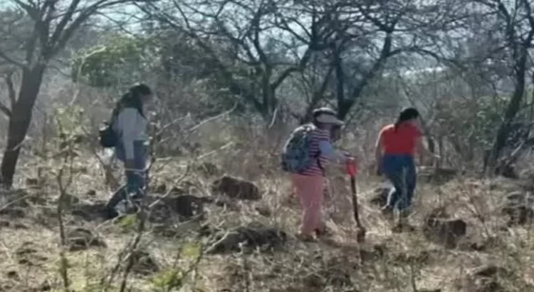 Madres buscadoras han recuperado 11 cuerpos de fosas clandestinas en Michoacán