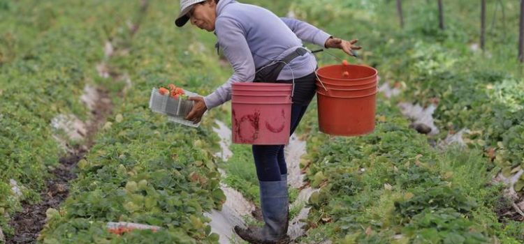 Zamora es una ciudad peligrosa para las mujeres