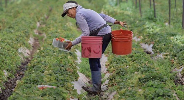 Zamora es una ciudad peligrosa para las mujeres