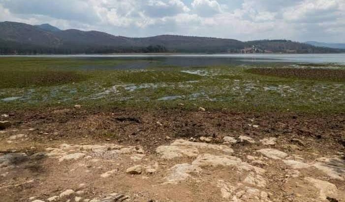 Falta de agua complica panorama en el campo de Zamora