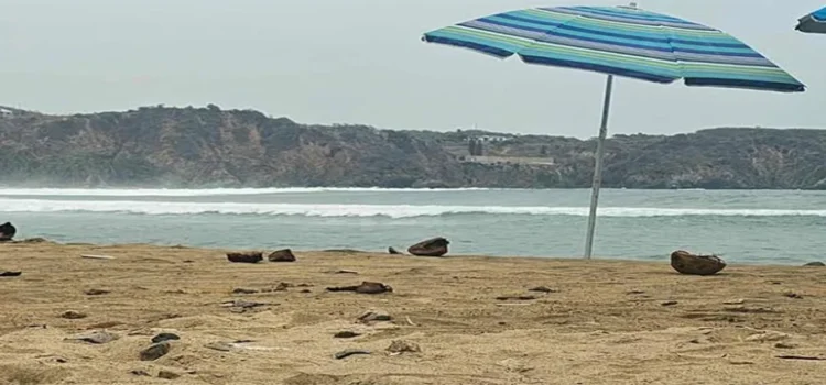 Una persona ahogada en playa de Maruata, el saldo tras Semana Santa en Michoacán