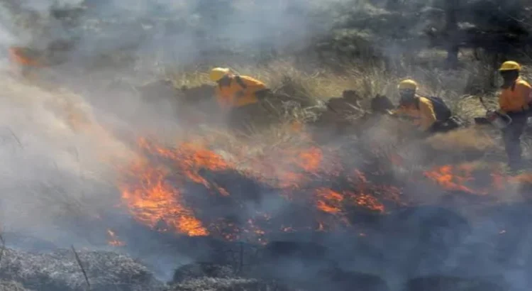 La mayoría de los 251 incendios de Michoacán fueron provocados