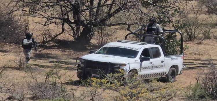 Localizan cuerpos de 5 personas calcinadas en Zinapécuaro, Michoacán