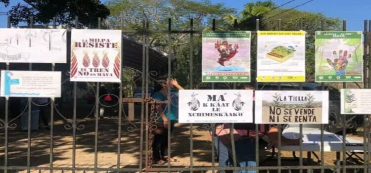 Michoacán, entidad más violenta para defensores del medio ambiente