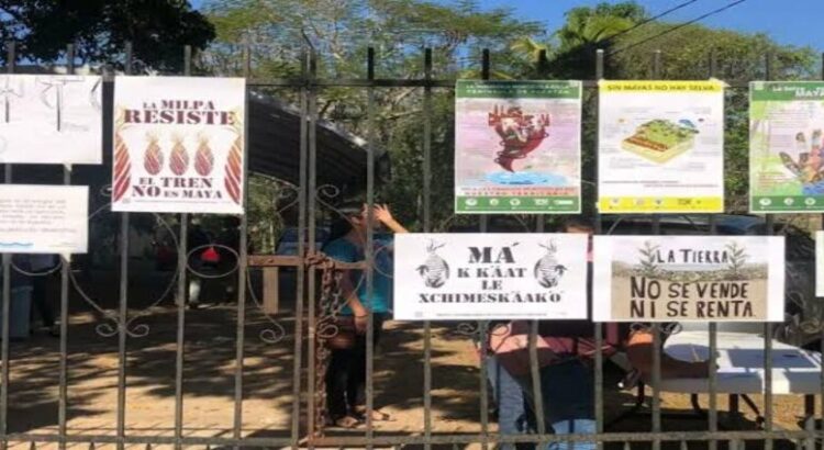 Michoacán, entidad más violenta para defensores del medio ambiente