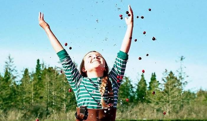 Alistan Feliz Día del Niño en Zamora