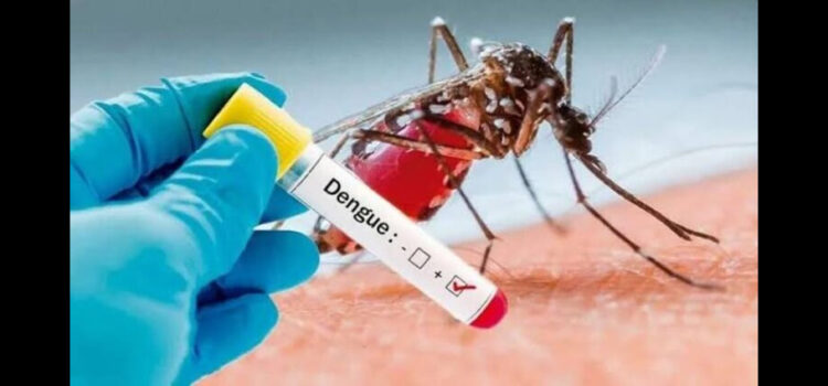 Michoacán, sexto lugar nacional en casos de dengue