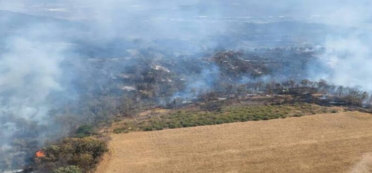 Hay 10 incendios forestales activos en Michoacán