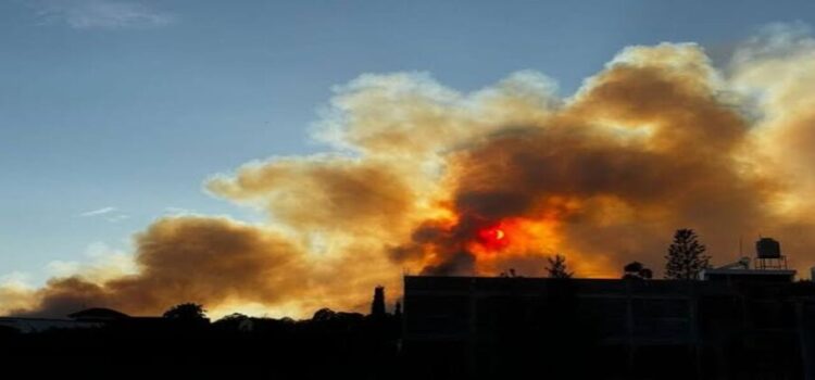 Aumentan a 629 incendios forestales en lo que va del 2024 en Michoacán