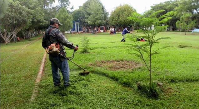 Realizan mantenimiento a áreas verdes de Zamora