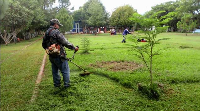 Realizan mantenimiento a áreas verdes de Zamora