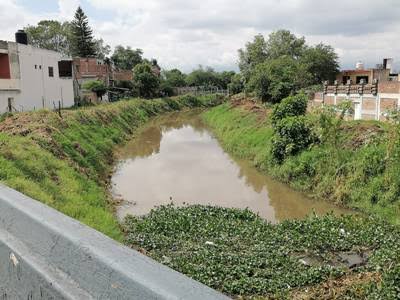 Se recuperan caudales de agua en presas, ríos y drenes en región Zamora