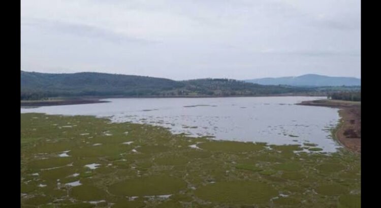 Pese a lluvias, presas de Michoacán aún mantienen niveles bajos