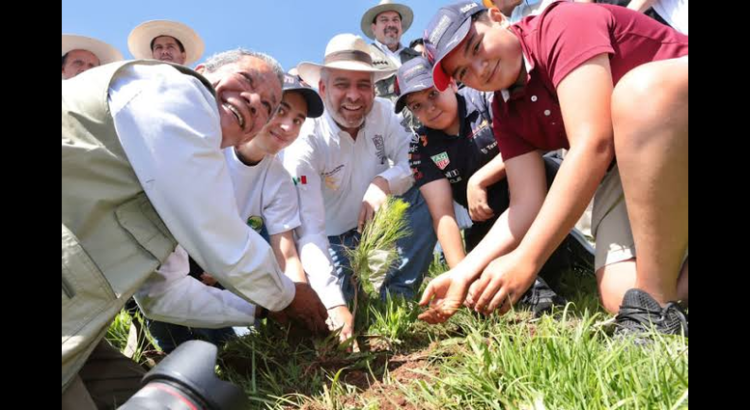 Arranca cruzada forestal en Michoacán; plantarán 10 millones de árboles