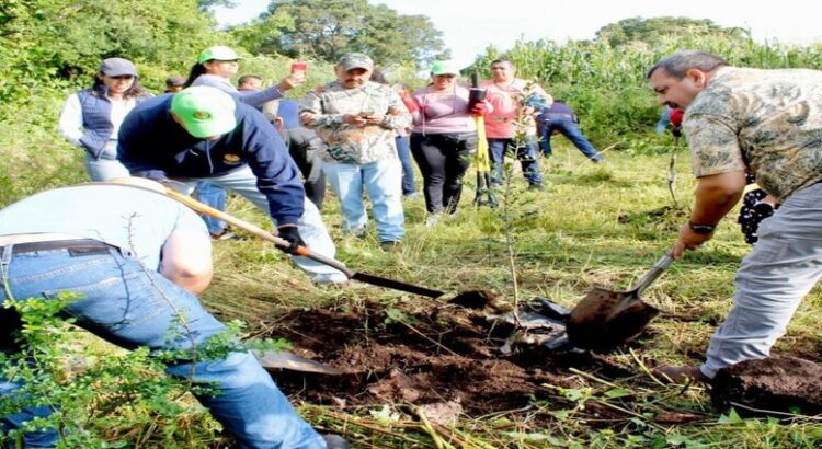 Podrán aguacateros acceder a certificación ambiental en Michoacán