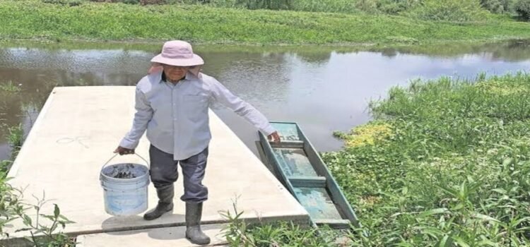Sin funcionar, plantas tratadoras de agua en Pátzcuaro Sin funcionar, plantas tratadoras de agua en Pátzcuaro