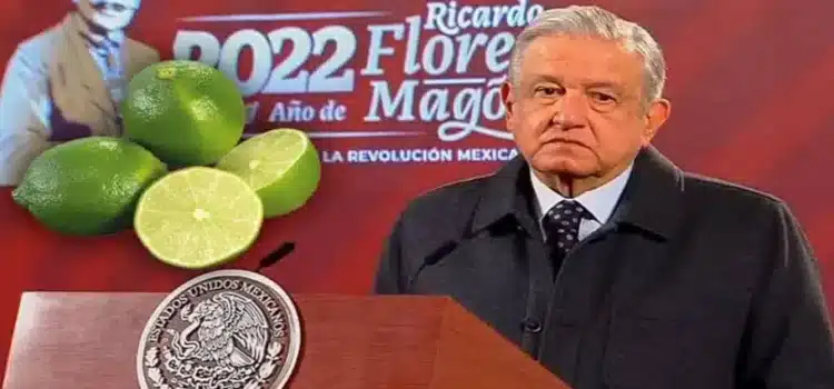 AMLO reconoce problema de extorsión a productores de limón en Michoacán