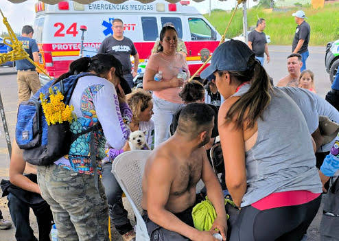 Abejas atacan a 17 excursionistas en el cerro de La Beata, en Zamora