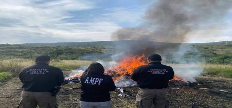 Destruyen más de una tonelada de drogas decomisadas al crimen organizado en Michoacán