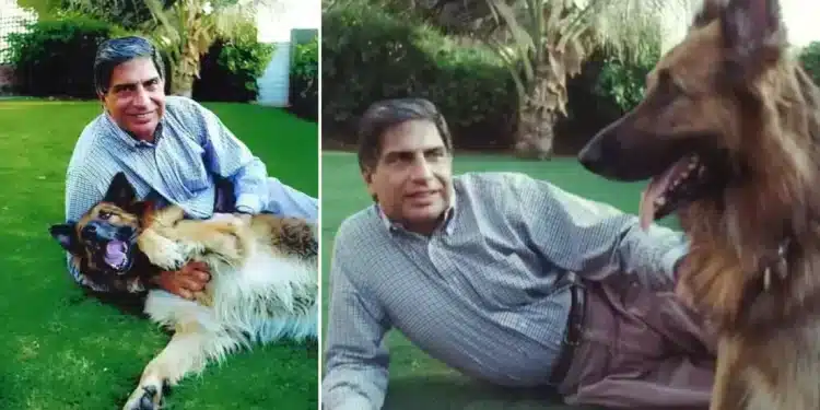 Ratan Tata: el magnate indio que aseguró una herencia millonaria para el cuidado de su perro Ratan Tata: el magnate indio que aseguró una herencia millonaria para el cuidado de su perro