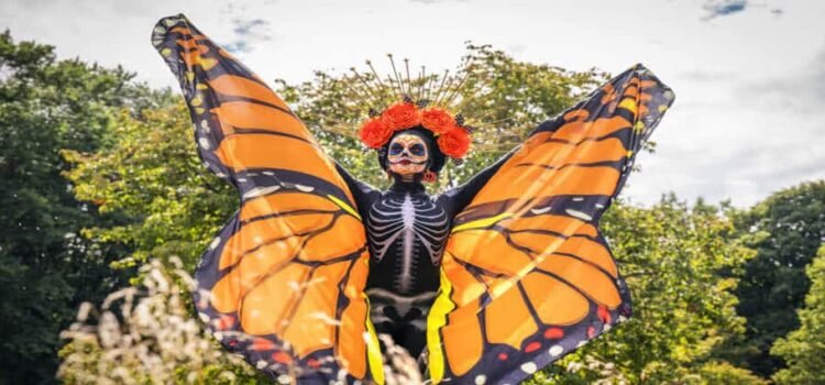 Llegan Mariposas Monarca a Michoacán