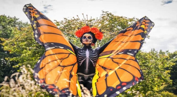 Llegan Mariposas Monarca a Michoacán