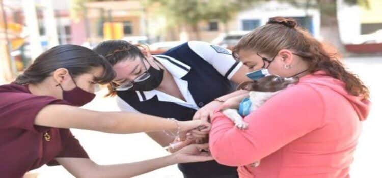 Arranca en Zamora campaña antirrábica Vacuna y protege una vida