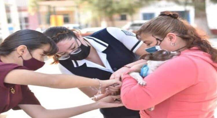 Arranca en Zamora campaña antirrábica Vacuna y protege una vida