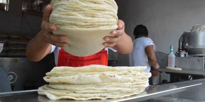 Aumentó el precio de la tortilla durante el fin de semana en Zamora Aumentó el precio de la tortilla durante el fin de semana en Zamora