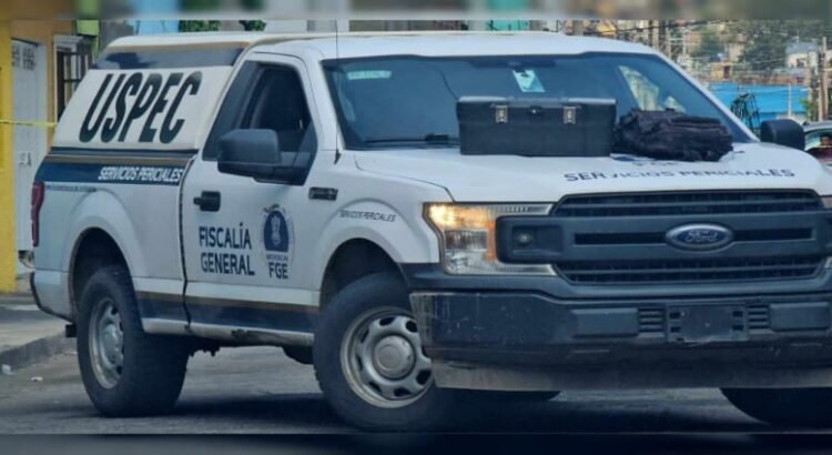 Hallan tres cuerpos descuartizados en Téjaro, Michoacán