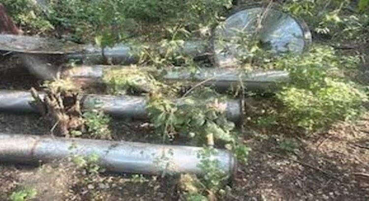 Militares desmantelan narcolaboratorio de drogas sintéticas tras operativo en Buenavista, Michoacán