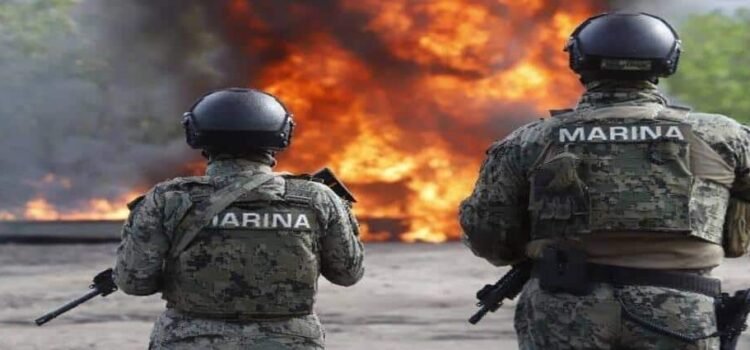 Destruyen 50 toneladas de precursores químicos en Michoacán