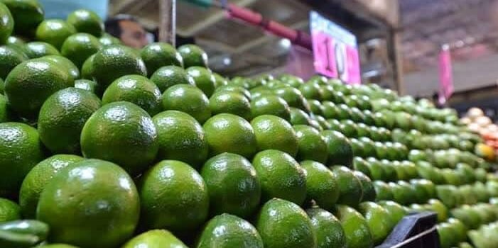 Kilo de limón en Zamora se vende hasta en 40 pesos